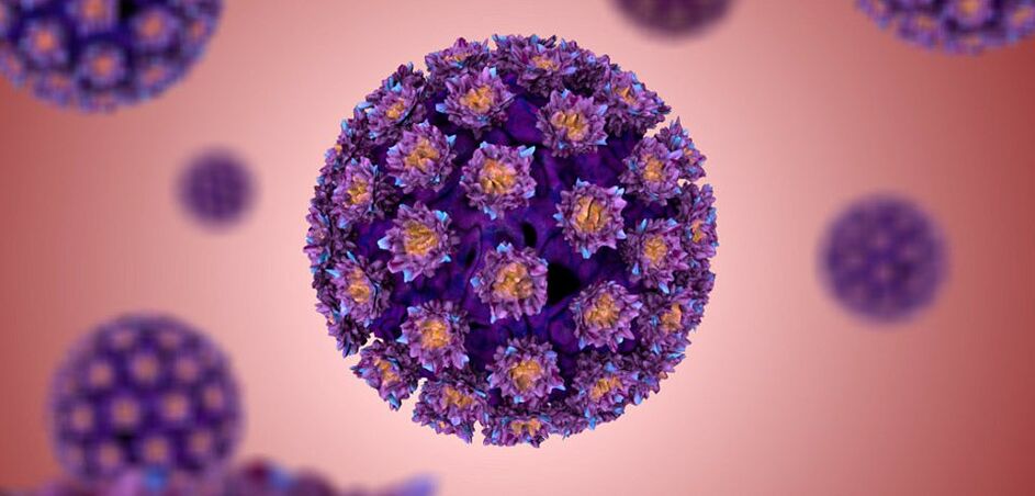 À quoi ressemble le virus du papillome humain